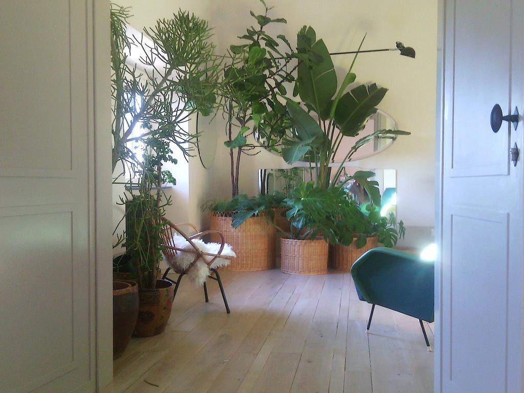 Casa Cavalcanti Bed & Breakfast *